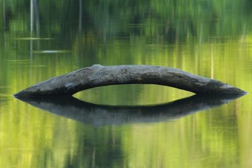 Textures;Water;Shapes;Rivers;Abstract;Reflections;Creek;Abstractions;Riverbed;River;Van Buren;waterway;Brook;Patterns;Current River;Green;Reflection;River Bed;Ozark Mountains;Stream;Missouri